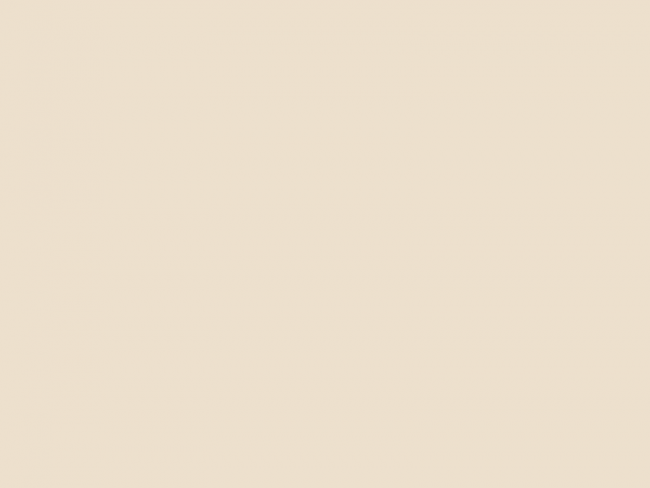 Elegant Spirits-Publication Example